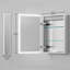 Meixner Framed Medicine Cabinet with LED Mirror and 3 Adjustable Shelves-1493591827