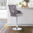 Danyelle Swivel Upholstered Adjustable Height Counter Stool with Metal Frame