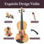 Violon professionnel 4/4 - Son de qualité supérieure, conception durable et légère avec accessoires complets, finition artisanale exquise, cadeau unique idéal pour les musiciens