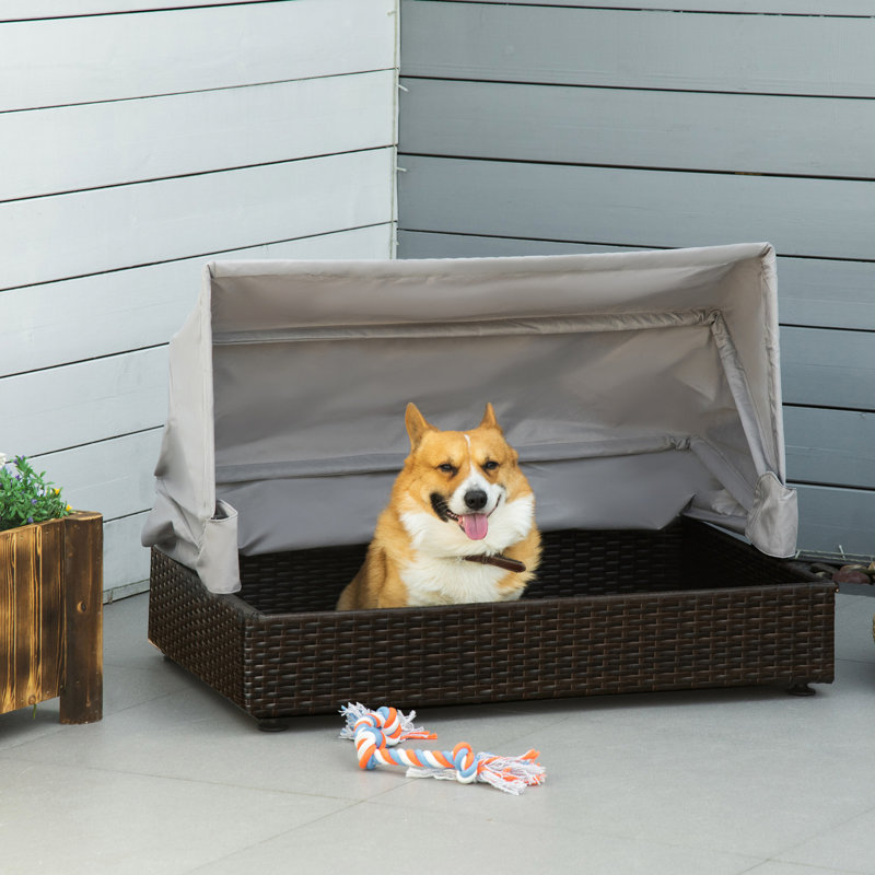 Méridienne pour animaux de compagnie: pour petits et moyens animaux, auvent pliable, aire de repos pour le café