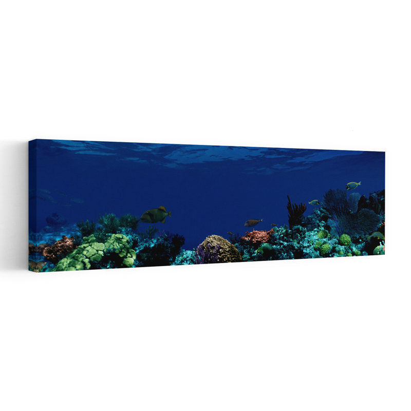 Underwater Colourful Fish Ocean Tropical Wall Art, H 12 po x l 36 po