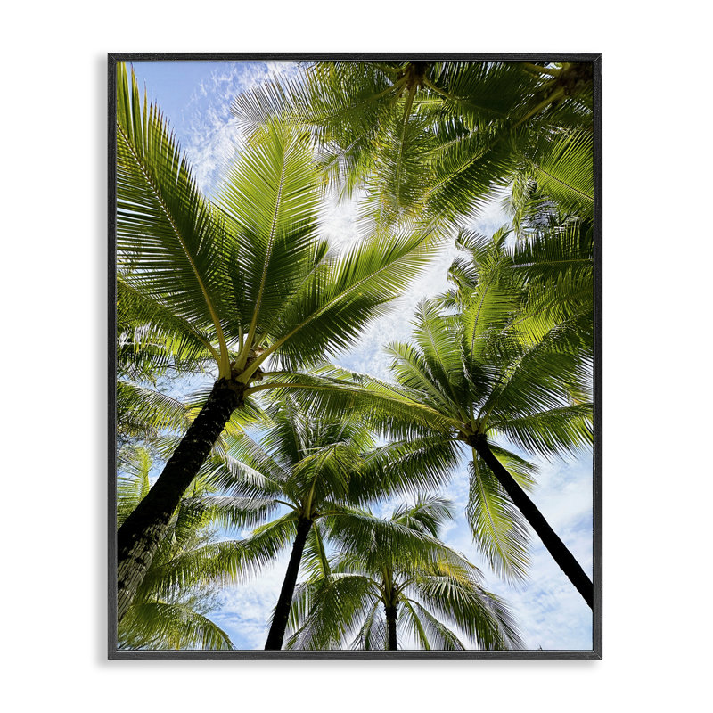 «Overhead Palm Trees», art de la giclée encadrée par Kali Wilson bf-522, Giclée encadrée noir minuit, H 14 po x l 11 po