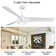Deroy 56'' Ceiling Fan with LED Lights