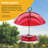Birds Choice 10" Color Pop Collection Protective Dome Cover for Hanging Bird Feeders, Teal-81120545