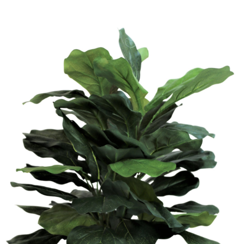Organic Modern Faux Fiddle Leaf Fig Plant