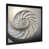 Black Single Picture Framed