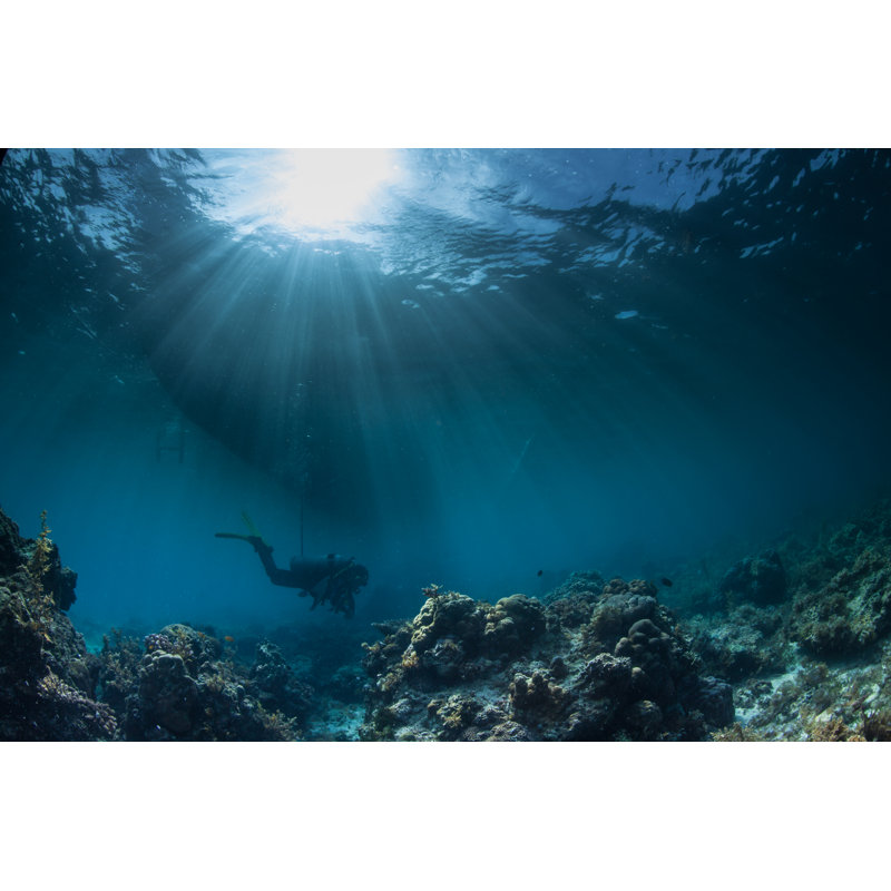 Diver In Underwater - Wrapped Canvas Print, 30cm H x 46cm W x 3.8cm D