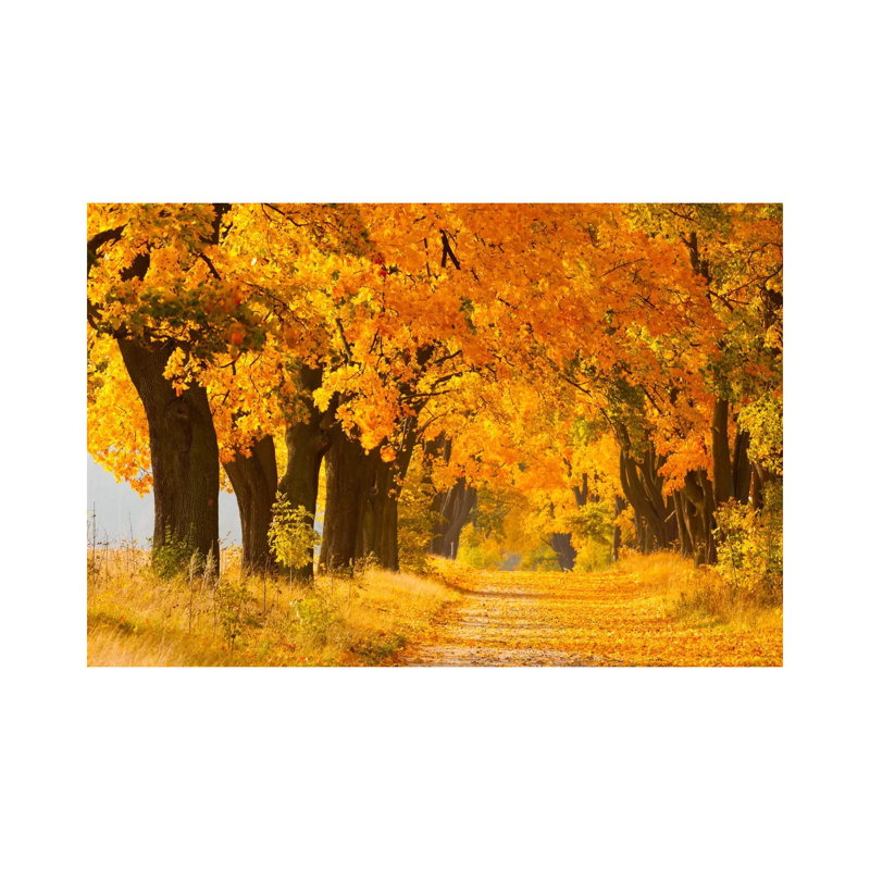 Poland, Jura, Maple Alley II by Mikolaj Gospodarek - Wrapped Canvas Print, 101.6 cm H x 66.04 cm W