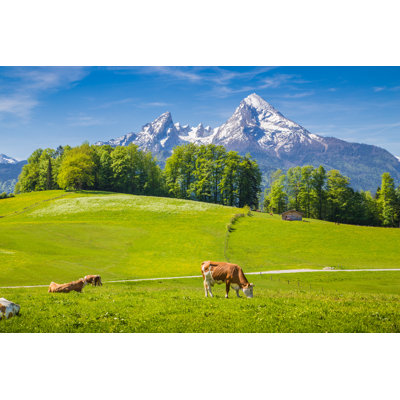 Maineville Cows in Alpine Meadows 1 Piece Wrapped Canvas Wall Art