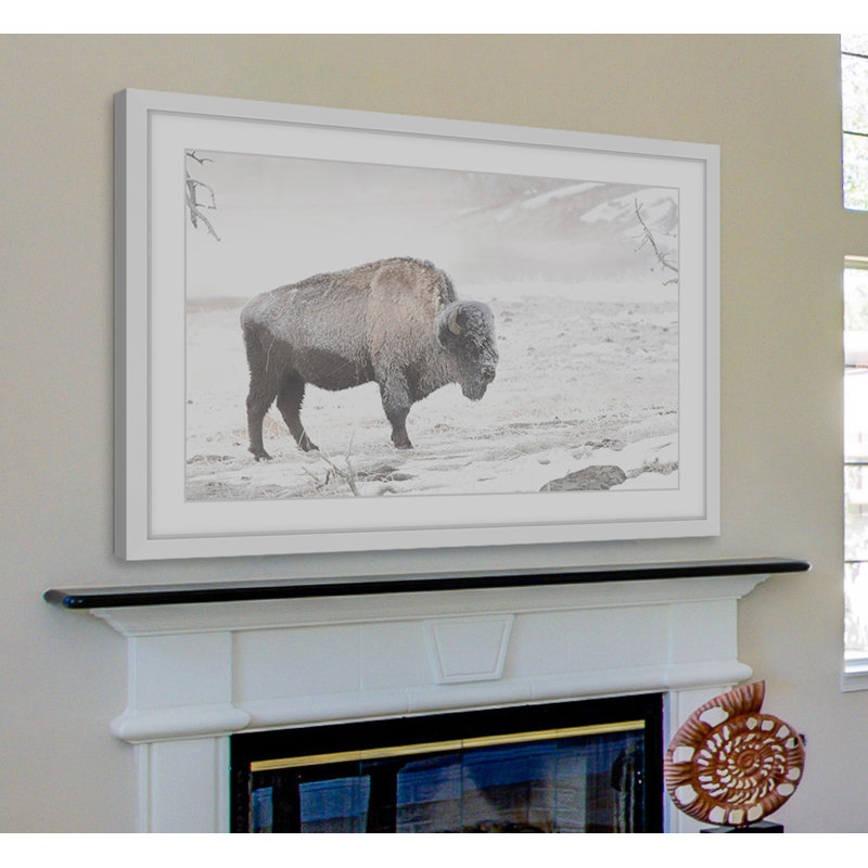 Parvez Taj - Single Picture Frame Print, 41cm H x 61cm W x 3.81cm D