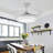 Tasmine 42'' Ceiling Fan with LED Lights-971254764