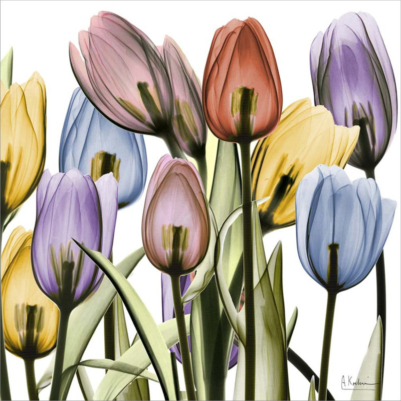 Décoration murale Tulipscape