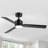 Bubacarr  48'' Matte Black Ceiling Fan with LED Light and Remote Control