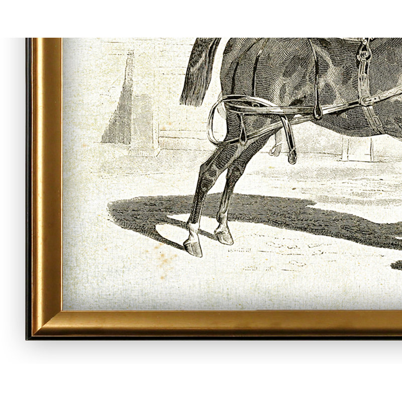 « équin sketch vii », impression, Cadre doré, H 27 po x l 39 po x P 2 po, Pas de tapis