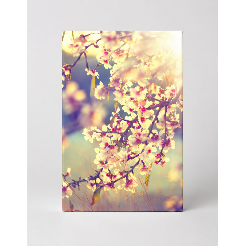 «Spring Blossoms in Sunlight» - Art mural sur toile, 24" W x 36" H