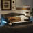 Upholstered Twin XL Size Daybed With LED Belt And Trundle-1318697719