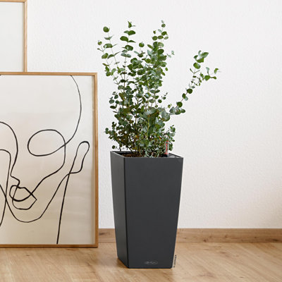Cubico Color Pot Planter