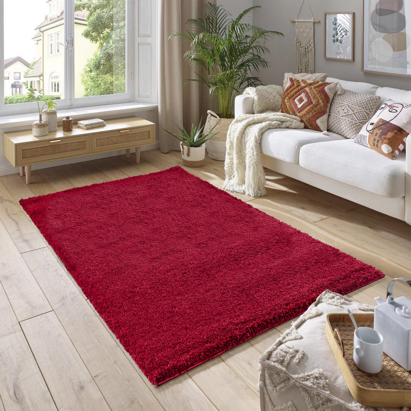 Machine Braided Area Rug, Red, Rectangle 80 x 150 cm