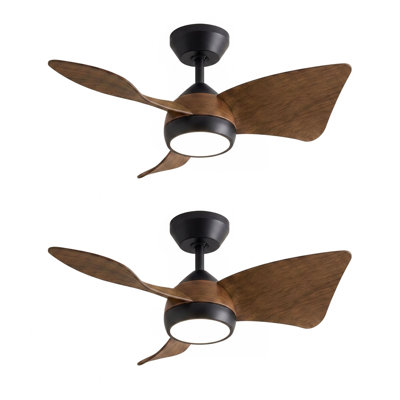 Lot de 2 petits ventilateurs de plafond de 76 cm (30 pouces) pour petites pièces de 4,6 à 9,3 m² (50 à 100 pieds carrés).