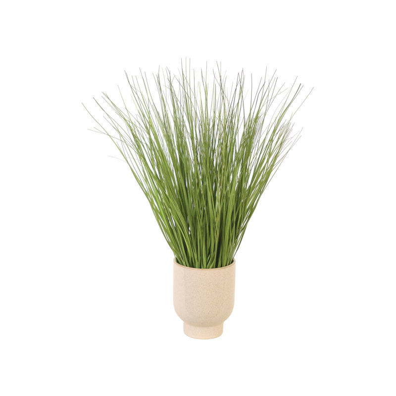Herbe verte dans un pot beige