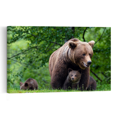 Wild Bear Family Abstract Contemporary Forest Landscape Wall Art Print 1 Piece Wrapped Canvas Wall Art