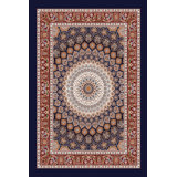 Oriental Indoor Rug