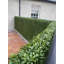 51cm Faux Boxwood Hedge-256275282