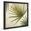 Organic II par Patricia Pinto - Peinture-2128418549-2128418559