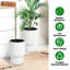 14 Inch Plant Pots, Self Watering Planters Set of 2 with Drainage Holes, Tall planters for Indoor Plants, Flower Pots with Water Level Monitor, for Patio, Porch, Living Room, Home Office