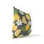 Coussin décoratif extérieur Lemmie-126051143-126051145