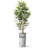 Artificial Tree in Contemporary Planter Fake Bamboo Silk Tree (Plant Pot Plus Tree)-103687336