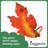 Fall Leaf Large Goose Outfit