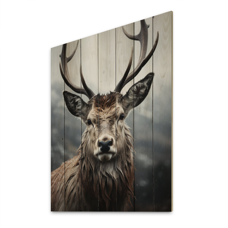 Chevreuil, photographie monochrome I sur bois, H 40 po x l 30 po x P 0,78 po