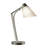 Reach 21.9" Desk Lamp-114977268-114977265