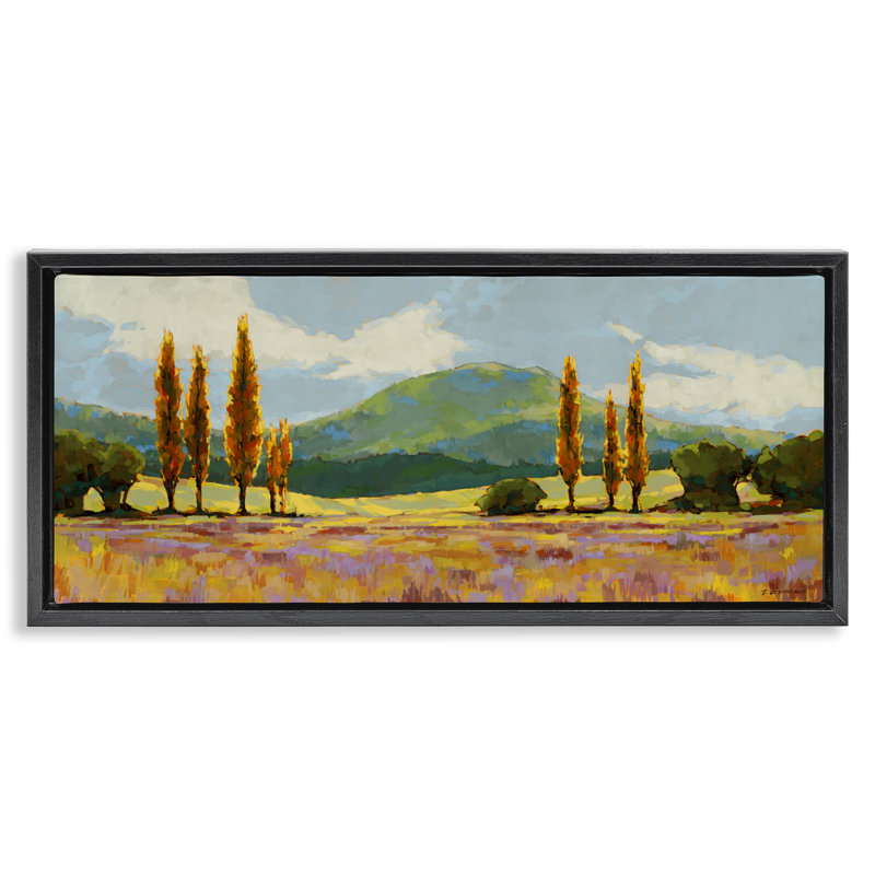Cadre campagne avec pastel flottant pastel, design par Trevor Copenhaver, H 11 po x l 25 po, Cadre flottant noir de jais