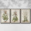 Munting Botanicals I 3 pièces-97709176-97709178