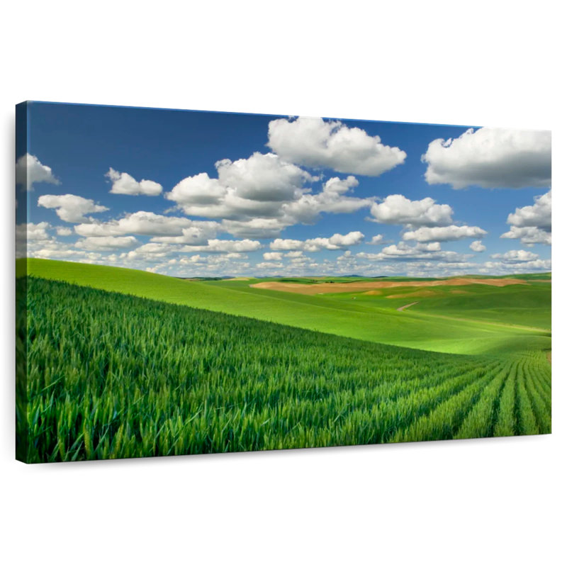 Palouse Greenery, 8" H x 12" W