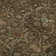 Premium Machine Washable Ducote AMF1130 Global Rug