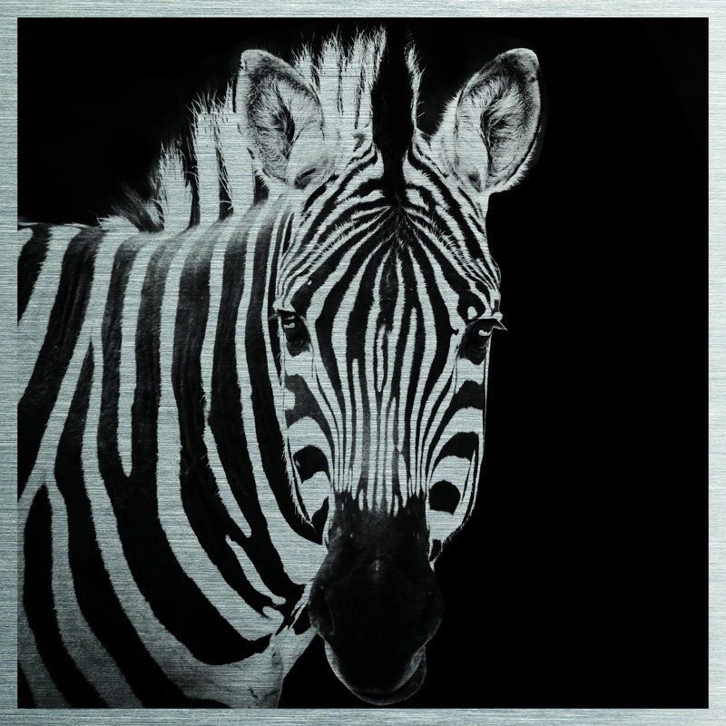 Zebra - No Frame Print on Metal