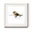 Mixed signaux I-reproduction de peinture encadrée sur papier-149679633-149679632