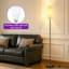 167 H cm Powder Coated Traditional Floor Lamp-1423326966