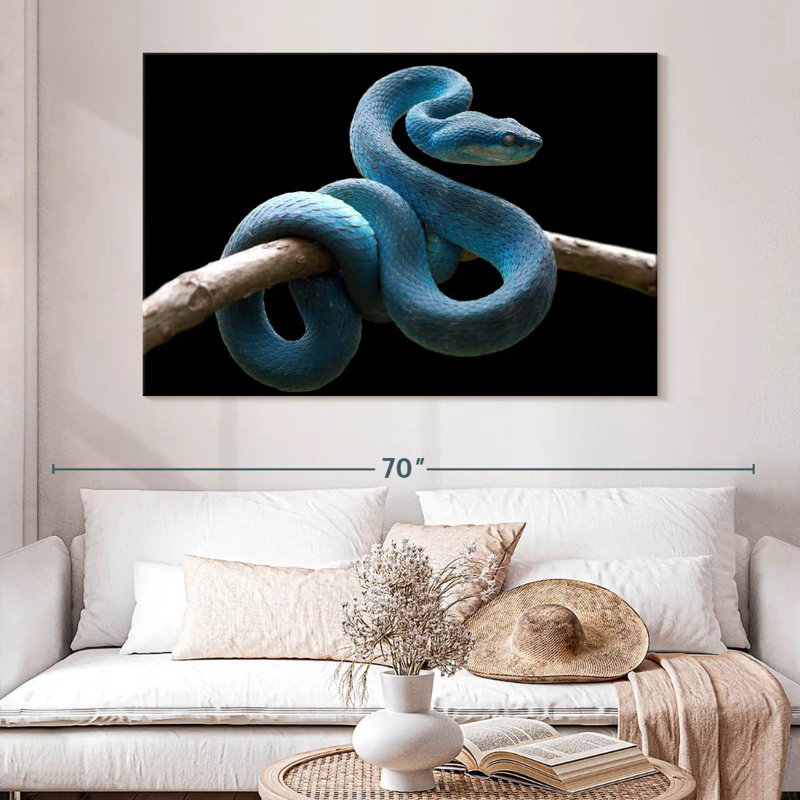 Brampt Blue Viper Snake, 34" H x 51" W
