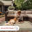Alegre Bordered Indoor/Outdoor Rug-1346886501-1440001689
