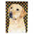 Labrador (beige et blanc) sélectionné