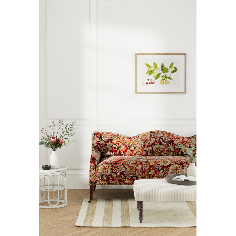 Amara Butterfly Fabric, Cinnabar/Ink Black