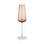 Belo Champagne Glasses Set Of 2-1095454593