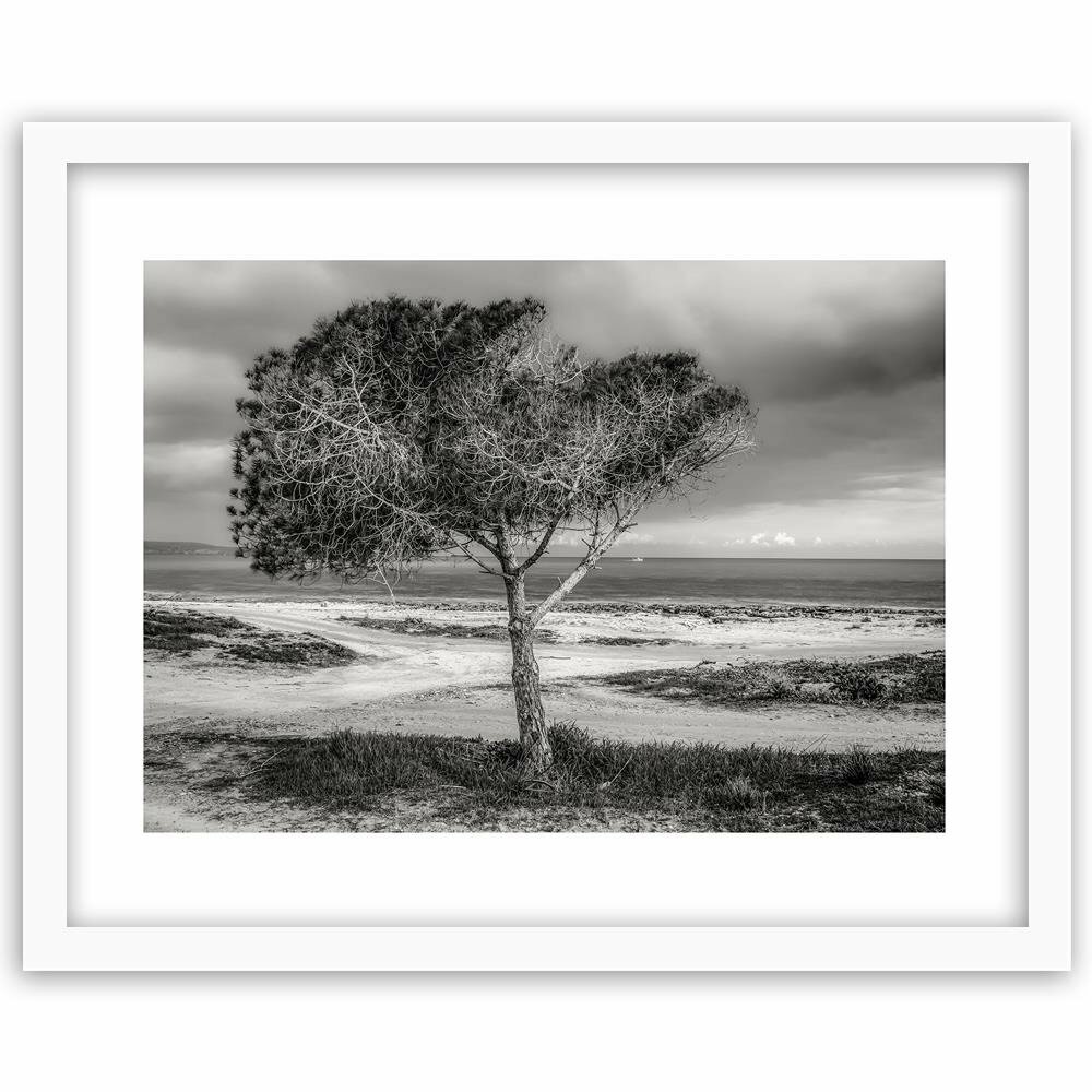 Gerahmter Fotodruck Baum am Meer