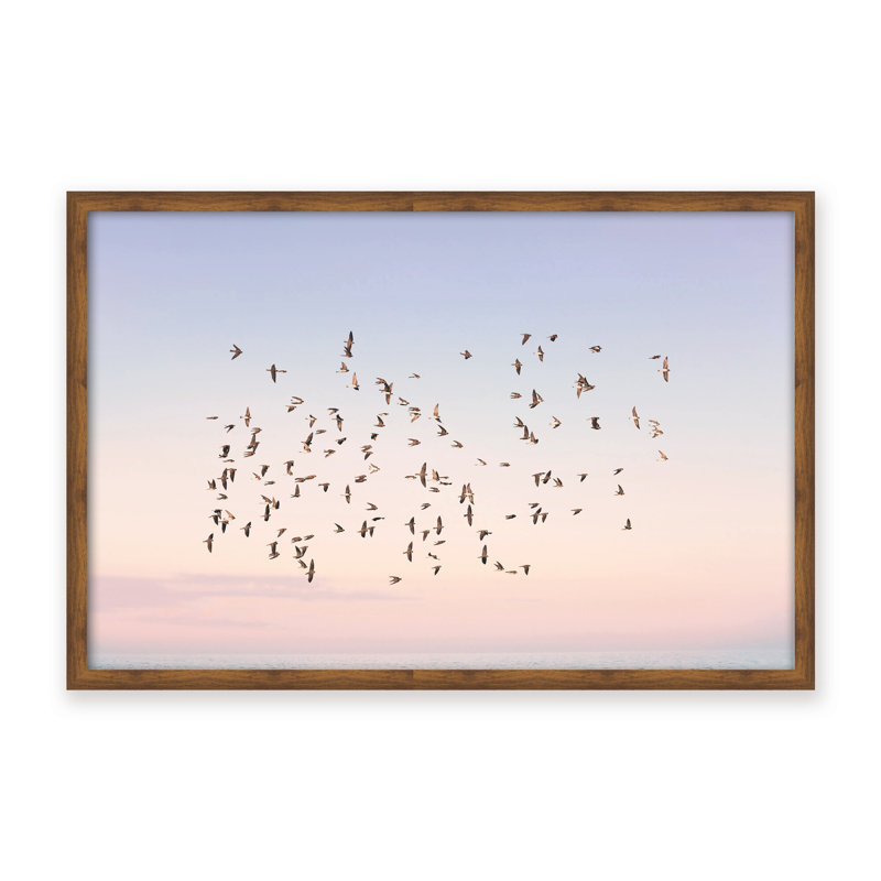 Nature Inspired Sunset Flight by  - Picture Frame Photograph on Paper, 16" H x 24" W x 1.125" D, Framed Matted Print, Gold
