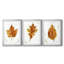 Étude de feuilles d'automne I - Impression sur mesure encadrée de qualité supérieure - 3 pièces