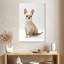 Chihuahua à Brampt assis-108442408